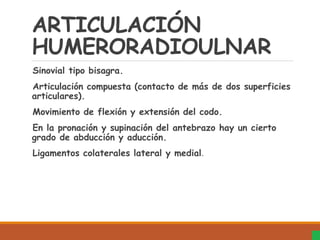 ARTICULACIÓN
HUMERORADIOULNAR
Sinovial tipo bisagra.
Articulación compuesta (contacto de más de dos superficies
articulares).
Movimiento de flexión y extensión del codo.
En la pronación y supinación del antebrazo hay un cierto
grado de abducción y aducción.
Ligamentos colaterales lateral y medial.
 