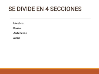 Hombro
Brazo
Antebrazo
Mano
 