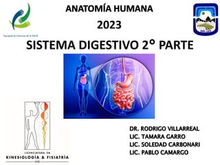 2023
SISTEMA DIGESTIVO 2° PARTE
 