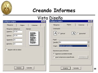 Creando Informes Vista Diseño 