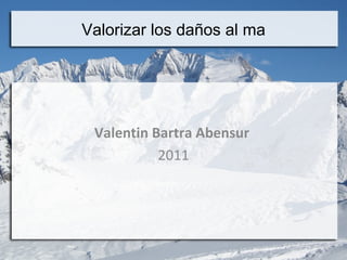 Valentin Bartra Abensur  2011 Valorizar los daños al ma 