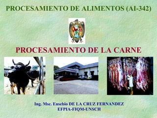 1
PROCESAMIENTO DE ALIMENTOS (AI-342)
PROCESAMIENTO DE LA CARNE
Ing. Msc. Eusebio DE LA CRUZ FERNANDEZ
EFPIA-FIQM-UNSCH
 
