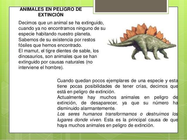 Cómo Se Llaman Las Crías De Las Cigüeñas