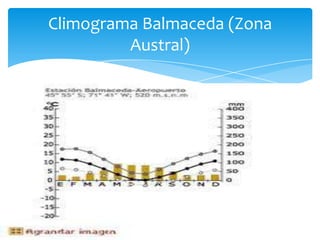 Climograma Balmaceda (Zona
         Austral)
 