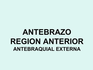 ANTEBRAZO
REGION ANTERIOR
ANTEBRAQUIAL EXTERNA
 