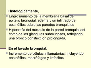 Histológicamente ,  Engrosamiento de la membrana basal del epitelio bronquial, edema y un infiltrado de eosinófilos sobre las paredes bronquiales  Hipertrofia del músculo de la pared bronquial así como de las glándulas submucosas, reflejando una bronco constricción prolongada. En el lavado bronquial , Incremento de células inflamatorias, incluyendo eosinófilos, macrófagos y linfocitos. 