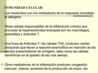 INMUNIDAD CELULAR   Los mastocitos son los mediadores de la respuesta inmediata al alérgeno. Otras células responsables de la inflamación crónica que provocan la hiperreactividad bronquial son los macrófagos, eosinófilos y linfocitos T.  Una línea de linfocitos T, las células TH2, producen ciertas citoquinas que llevan a reacción eosinofílica en reacción de las células presentadoras de antígeno, tales como las células dendríticas en el epitelio de las vías aéreas.  Otros mediadores de la inflamación producen congestión vascular, edema, aumento de la producción de moco, etc. 