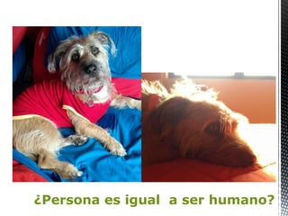 ¿Persona es igual a ser humano?
 