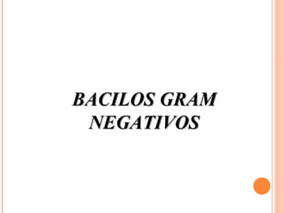 BACILOS GRAMBACILOS GRAM
NEGATIVOSNEGATIVOS
 