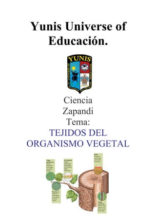 Yunis Universe of
Educación.
Ciencia
Zapandi
Tema:
TEJIDOS DEL
ORGANISMO VEGETAL
.
 