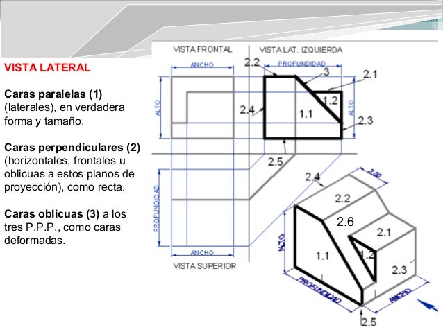 Vista Frontal Lateral Posterior Thigh