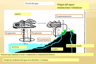 El ciclo del agua
97,571%
0,001%
2,428%
Evaporación Precipitación
Evapotranspiración
Escurrimiento
Tiempo de residencia del agua en la atmósfera: 2 semanas
Origen del agua=
emanaciones volcánicas
Procesos que impulsan el ciclo= evaporación y condensación (físicos)
Cambios de estado
 
