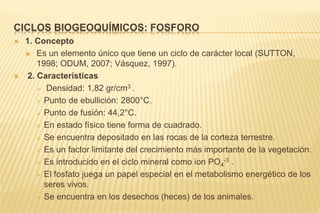 CICLOS BIOGEOQUÍMICOS: FOSFORO
 1. Concepto
 Es un elemento único que tiene un ciclo de carácter local (SUTTON,
1998; ODUM, 2007; Vásquez, 1997).
 2. Características
 Densidad: 1,82 gr/cm3 .
 Punto de ebullición: 2800°C.
 Punto de fusión: 44,2°C.
 En estado físico tiene forma de cuadrado.
 Se encuentra depositado en las rocas de la corteza terrestre.
 Es un factor limitante del crecimiento más importante de la vegetación.
 Es introducido en el ciclo mineral como ion PO4
-3 .
 El fosfato juega un papel especial en el metabolismo energético de los
seres vivos.
 Se encuentra en los desechos (heces) de los animales.
 