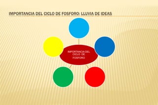 IMPORTANCIA DEL CICLO DE FOSFORO: LLUVIA DE IDEAS
IMPORTANCIA DEL
CICLO DE
FOSFORO
 