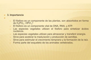  3. Importancia

 El fósforo es un componente de las plantas, son absorbidos en forma
de H2PO4
-, HPO-
4
2.
 El fósforo es un componente vital de DNA, RNA, y ATP.
 Las especies vegetales utilizan el fósforo para sintetizar ácidos
nucleicos.
 Las especies vegetales utilizan para almacenar y transferir energía.
 Sirve para acelerar la maduración y producción de semillas.
 Sirve para estimular el crecimiento temprano y la formación de la raíz.
 Forma parte del esqueleto de los animales vertebrados.
 