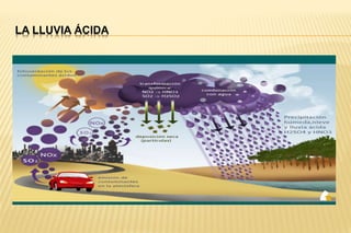 LA LLUVIA ÁCIDA
 