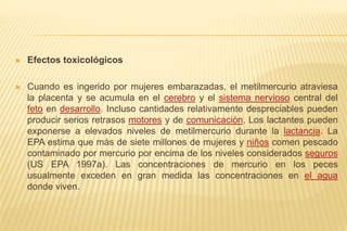 Efectos toxicológicos
 Cuando es ingerido por mujeres embarazadas, el metilmercurio atraviesa
la placenta y se acumula en el cerebro y el sistema nervioso central del
feto en desarrollo. Incluso cantidades relativamente despreciables pueden
producir serios retrasos motores y de comunicación. Los lactantes pueden
exponerse a elevados niveles de metilmercurio durante la lactancia. La
EPA estima que más de siete millones de mujeres y niños comen pescado
contaminado por mercurio por encima de los niveles considerados seguros
(US EPA 1997a). Las concentraciones de mercurio en los peces
usualmente exceden en gran medida las concentraciones en el agua
donde viven.
 