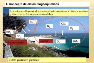 1. Concepto de ciclos biogeoquímicos
Los nutrientes fluyen desde componentes del ecosistema no vivos a los vivos
y viceversa, en forma más o menos cíclica
CO2
CO2
O2
O2
N2
SO4
S2
PO4
Gaseoso
Sedimentario
Ciclos gaseosos: globales
 