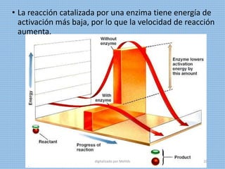 • La reacción catalizada por una enzima tiene energía de
activación más baja, por lo que la velocidad de reacción
aumenta.
digitalizado por Melilds 10
 