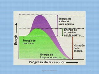 digitalizado por Melilds 13
 