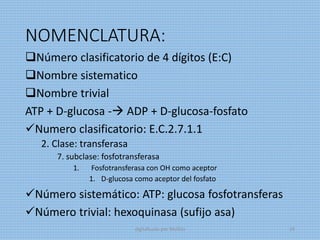 NOMENCLATURA:
Número clasificatorio de 4 dígitos (E:C)
Nombre sistematico
Nombre trivial
ATP + D-glucosa - ADP + D-glucosa-fosfato
Numero clasificatorio: E.C.2.7.1.1
2. Clase: transferasa
7. subclase: fosfotransferasa
1. Fosfotransferasa con OH como aceptor
1. D-glucosa como aceptor del fosfato
Número sistemático: ATP: glucosa fosfotransferas
Número trivial: hexoquinasa (sufijo asa)
digitalizado por Melilds 19
 