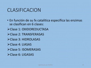 CLASIFICACION
• En función de su fx catalítica específica las enzimas
se clasifican en 6 clases:
Clase 1: OXIDOREDUCTASA
Clase 2: TRANSFERASAS
Clase 3: HIDROLASAS
Clase 4: LIASAS
Clase 5: ISOMERASAS
Clase 6: LIGASAS
digitalizado por Melilds 20
 
