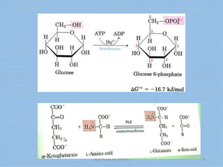 digitalizado por Melilds 26
 