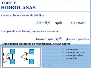 CLASE 3:
Transforman polímeros en monómeros. Actúan sobre:
 enlace éster
 enlace glucosídico
 enlace peptídico
 enlace C-N
digitalizado por Melilds 27
 