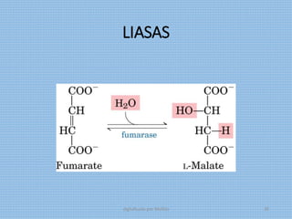 LIASAS
digitalizado por Melilds 30
 