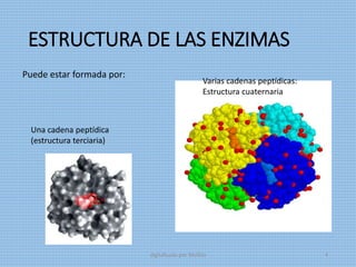 ESTRUCTURA DE LAS ENZIMAS
Puede estar formada por:
Una cadena peptídica
(estructura terciaria)
Varias cadenas peptídicas:
Estructura cuaternaria
digitalizado por Melilds 4
 