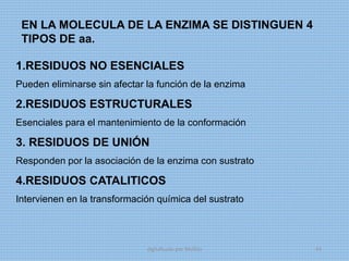 EN LA MOLECULA DE LA ENZIMA SE DISTINGUEN 4
TIPOS DE aa.
1.RESIDUOS NO ESENCIALES
Pueden eliminarse sin afectar la función de la enzima
2.RESIDUOS ESTRUCTURALES
Esenciales para el mantenimiento de la conformación
3. RESIDUOS DE UNIÓN
Responden por la asociación de la enzima con sustrato
4.RESIDUOS CATALITICOS
Intervienen en la transformación química del sustrato
digitalizado por Melilds 44
 