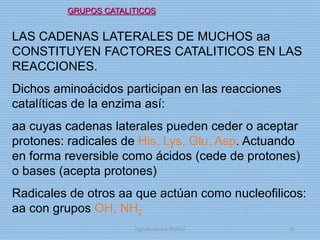 GRUPOS CATALITICOS
LAS CADENAS LATERALES DE MUCHOS aa
CONSTITUYEN FACTORES CATALITICOS EN LAS
REACCIONES.
Dichos aminoácidos participan en las reacciones
catalíticas de la enzima así:
aa cuyas cadenas laterales pueden ceder o aceptar
protones: radicales de His, Lys, Glu, Asp. Actuando
en forma reversible como ácidos (cede de protones)
o bases (acepta protones)
Radicales de otros aa que actúan como nucleofilicos:
aa con grupos OH, NH2
digitalizado por Melilds 45
 