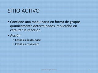 SITIO ACTIVO
• Contiene una maquinaria en forma de grupos
químicamente determinados implicados en
catalizar la reacción.
• Acción:
• Catálisis ácido-base
• Catálisis covalente
digitalizado por Melilds 47
 