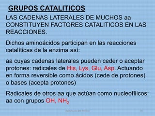 GRUPOS CATALITICOS
LAS CADENAS LATERALES DE MUCHOS aa
CONSTITUYEN FACTORES CATALITICOS EN LAS
REACCIONES.
Dichos aminoácidos participan en las reacciones
catalíticas de la enzima así:
aa cuyas cadenas laterales pueden ceder o aceptar
protones: radicales de His, Lys, Glu, Asp. Actuando
en forma reversible como ácidos (cede de protones)
o bases (acepta protones)
Radicales de otros aa que actúan como nucleofílicos:
aa con grupos OH, NH2
digitalizado por Melilds 50
 