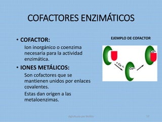 • COFACTOR:
Ion inorgánico o coenzima
necesaria para la actividad
enzimática.
• IONES METÁLICOS:
Son cofactores que se
mantienen unidos por enlaces
covalentes.
Estas dan origen a las
metaloenzimas.
COFACTORES ENZIMÁTICOS
EJEMPLO DE COFACTOR
digitalizado por Melilds 57
 