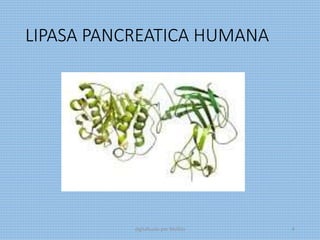 LIPASA PANCREATICA HUMANA
digitalizado por Melilds 6
 