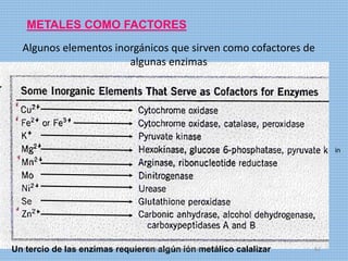 METALES COMO FACTORES
Un tercio de las enzimas requieren algún ión metálico calalizar
in
Algunos elementos inorgánicos que sirven como cofactores de
algunas enzimas
digitalizado por Melilds 62
 