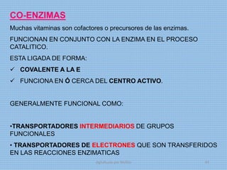 CO-ENZIMAS
Muchas vitaminas son cofactores o precursores de las enzimas.
FUNCIONAN EN CONJUNTO CON LA ENZIMA EN EL PROCESO
CATALITICO.
ESTA LIGADA DE FORMA:
 COVALENTE A LA E
 FUNCIONA EN Ó CERCA DEL CENTRO ACTIVO.
GENERALMENTE FUNCIONAL COMO:
•TRANSPORTADORES INTERMEDIARIOS DE GRUPOS
FUNCIONALES
• TRANSPORTADORES DE ELECTRONES QUE SON TRANSFERIDOS
EN LAS REACCIONES ENZIMATICAS
digitalizado por Melilds 63
 