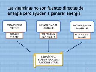 Las vitaminas no son fuentes directas de
energía pero ayudan a generar energía
METABOLISMO
PROTEICO
METABOLISMO DE
LOS H de C
METABOLISMO DE
LAS GRASAS
NAD PLP
THF B12
TPP FAD FMN
NAD CoA B12
FAD FMN NAD
CoA B12
ENERGÍA PARA
REALIZAR TODAS LAS
FUNCIONES VITALES
digitalizado por Melilds 64
 