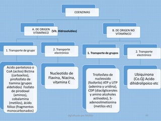 COENZIMAS
A. DE ORIGEN
VITAMÍNICO
1. Transporte de grupo
Acido pantetoico o
CoA (acilos) Bictina
(carboxilos),
pirofosfato de
tiamina (grupos
aldehidos) Fosfato
de pirodoxal
(aminos),
cobalamina
(metilos), ácido
fólico (fragmentos
monocarbonados)
2. Transporte
electrónico
Nucleotido de
Flavina, Niacina,
vitamina C
B. DE ORIGEN NO
VITAMÍNICO
1. Transporte de grupos
Triofosfato de
nucleosido
(fosforilo) ATP y UTP
(adenina y uridina),
CDP (diacilgliceroles
y amino alcoholes
activados), S-
adenosilmetionina
(metilos etc)
2. Transporte
electrónico
Ubiquinona
(Co.Q) Acido
dihidrolipoico etc
(Vit. Hidrosolubles)
digitalizado por Melilds 65
 