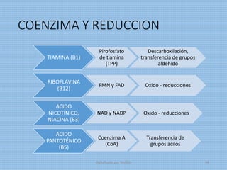 COENZIMA Y REDUCCION
TIAMINA (B1)
Pirofosfato
de tiamina
(TPP)
Descarboxilación,
transferencia de grupos
aldehído
RIBOFLAVINA
(B12)
FMN y FAD Oxido - reducciones
ACIDO
NICOTINICO,
NIACINA (B3)
NAD y NADP Oxido - reducciones
ACIDO
PANTOTÉNICO
(B5)
Coenzima A
(CoA)
Transferencia de
grupos acilos
digitalizado por Melilds 66
 