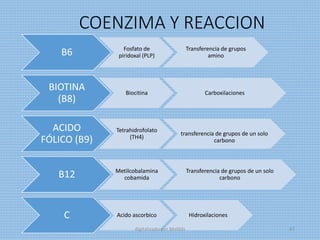 COENZIMA Y REACCION
B6 Fosfato de
piridoxal (PLP)
Transferencia de grupos
amino
BIOTINA
(B8)
Biocitina Carboxilaciones
ACIDO
FÓLICO (B9)
Tetrahidrofolato
(TH4)
transferencia de grupos de un solo
carbono
B12 Metilcobalamina
cobamida
Transferencia de grupos de un solo
carbono
C Acido ascorbico Hidroxilaciones
digitalizado por Melilds 67
 