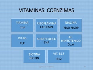 VITAMINAS: COENZIMAS
TIAMINA
TPP
RIBOFLAMINA
FAD FMN
NIACINA
NAD NADP
VIT.B6
PLP
ACIDO FOLICO
THF
AC.
PANTOTENICO
Co.A
BIOTINA
BIOTIN
VIT. B12
B12
digitalizado por Melilds 68
 
