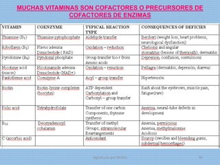 MUCHAS VITAMINAS SON COFACTORES O PRECURSORES DE
COFACTORES DE ENZIMAS
digitalizado por Melilds 69
 