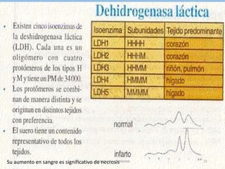 MODO DE ACCIÓN
Su aumento en sangre es significativo de necrosisdigitalizado por Melilds 72
 