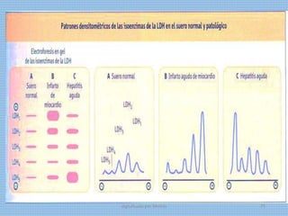 digitalizado por Melilds 75
 