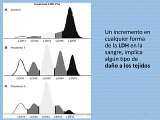 Un incremento en
cualquier forma
de la LDH en la
sangre, implica
algún tipo de
daño a los tejidos
digitalizado por Melilds 76
 