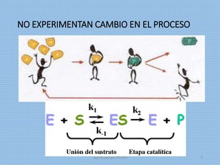 NO EXPERIMENTAN CAMBIO EN EL PROCESO
digitalizado por Melilds 9
 