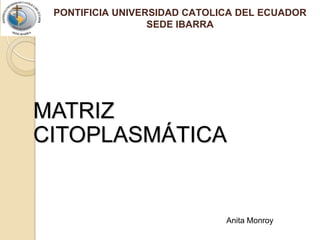 PONTIFICIA UNIVERSIDAD CATOLICA DEL ECUADORSEDE IBARRA MATRIZ CITOPLASMÁTICA Anita Monroy 