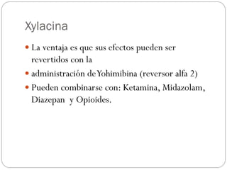 Xylacina
 La ventaja es que sus efectos pueden ser
revertidos con la
 administración deYohimibina (reversor alfa 2)
 Pueden combinarse con: Ketamina, Midazolam,
Diazepan y Opioides.
 